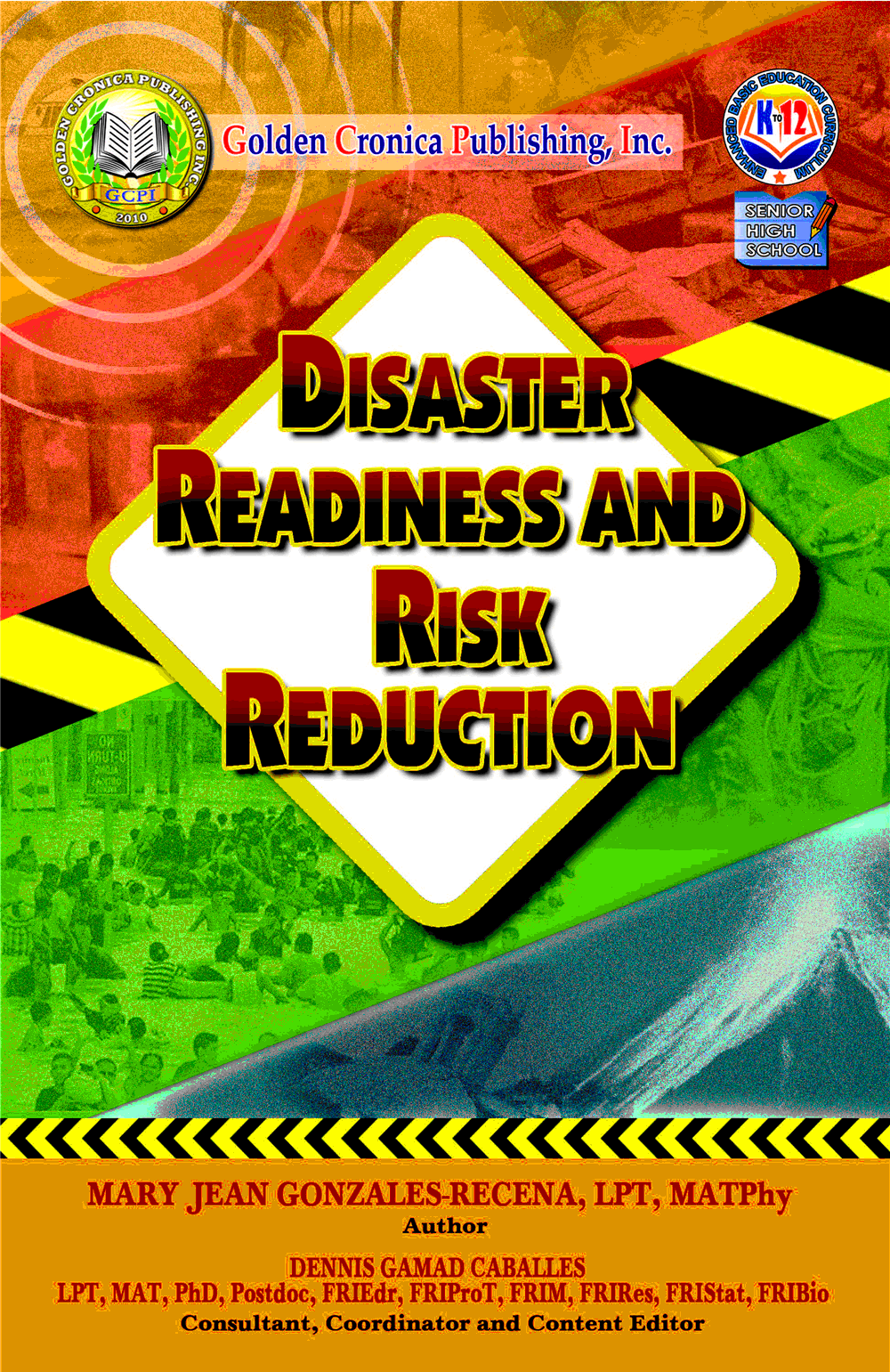 disaster risk reduction research paper